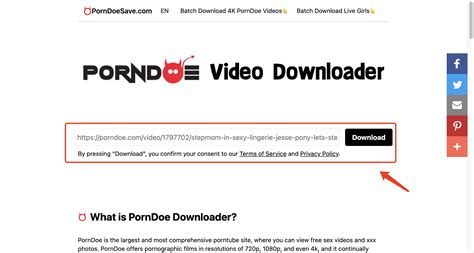 porn doe com|New Anal Free HD Porn Videos on PornDoe.com.